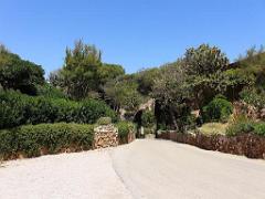 183 D33 ILE DE BENDOR_000062